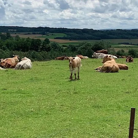 Hondvriendelijke Vakantiewoning Met Jacuzzi En Sauna Foret D'animaux *