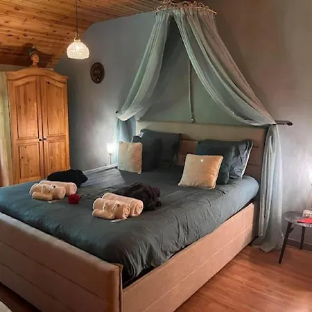 Luxe Vakantiewoning Met Jacuzzi En Sauna Foret D'animaux Bouillon