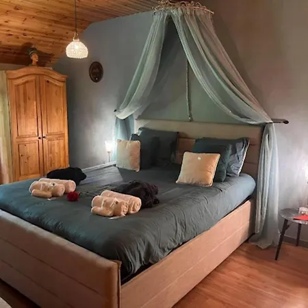 Hondvriendelijke Vakantiewoning Met Jacuzzi En Sauna Foret D'animaux * Бульон